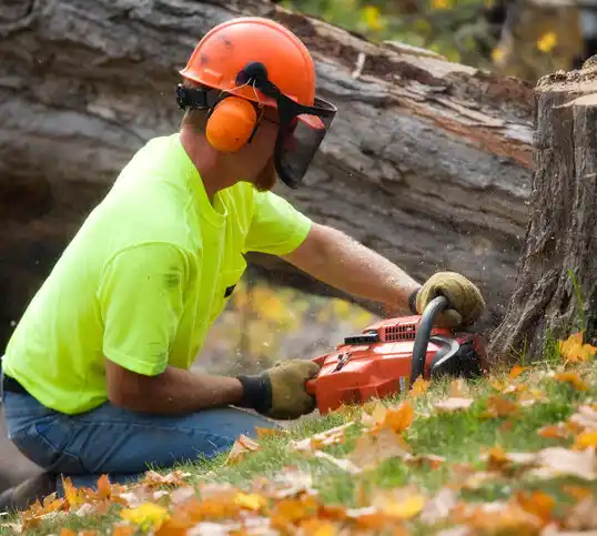 tree services Pryor